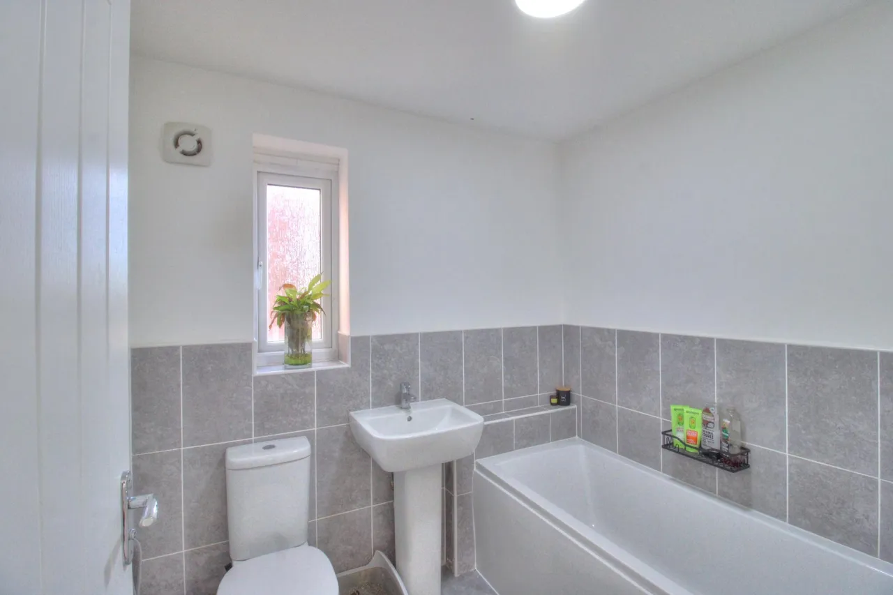Portrush Gardens, Ashington, NE63, photo 24