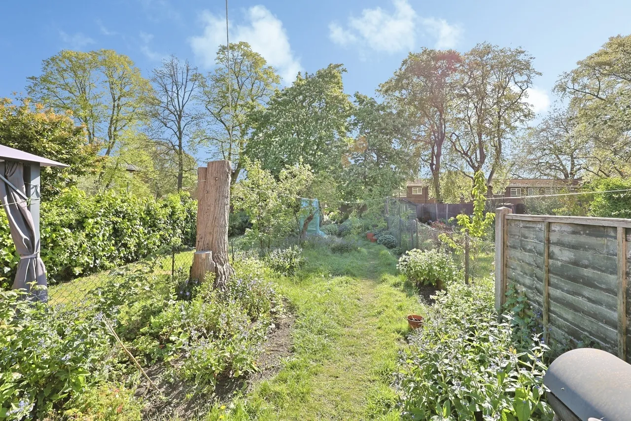 Nelson Street, Norwich, Norfolk, NR2, photo 9