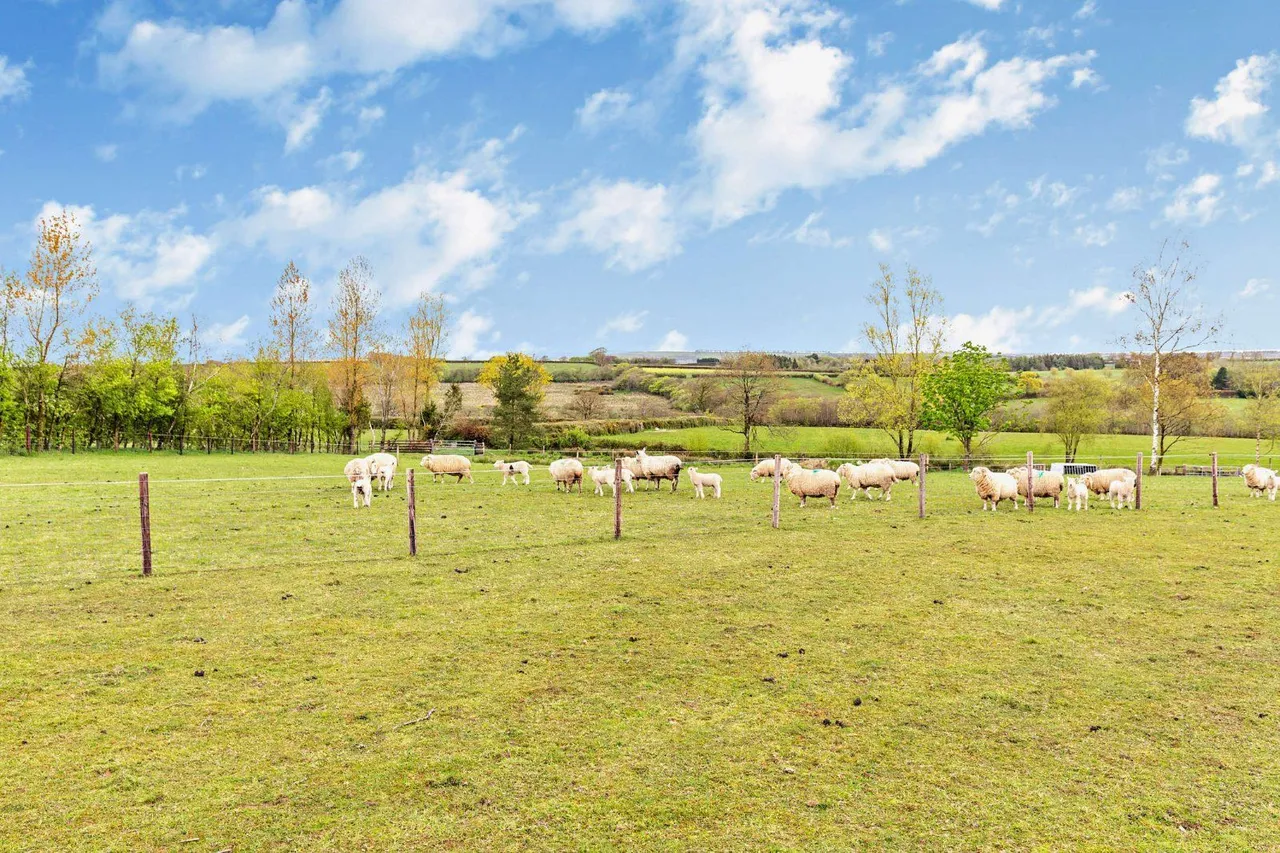 Knowstone, South Molton, EX36, photo 12