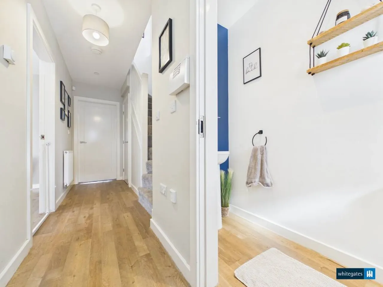 Mottram Gardens, Llay, LL12, photo 4