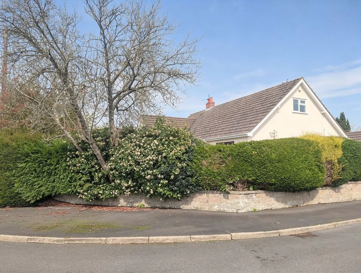 Styles Avenue, Frome, BA11, photo 29