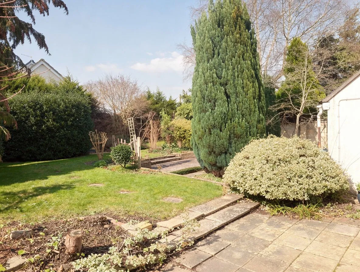 Styles Avenue, Frome, BA11, photo 27