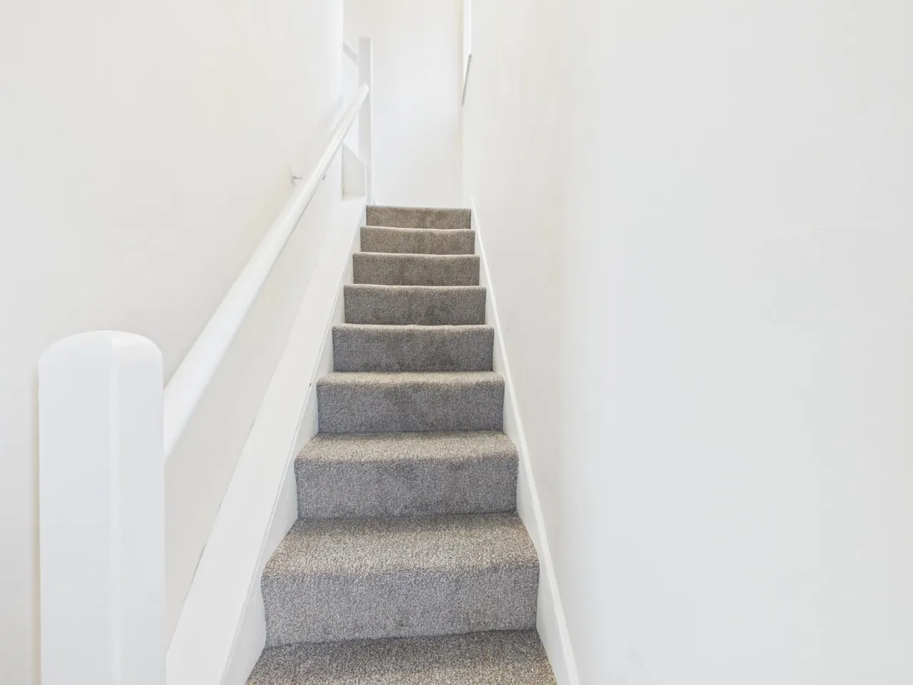 Northbrook Gardens, Belfast, BT9, photo 8