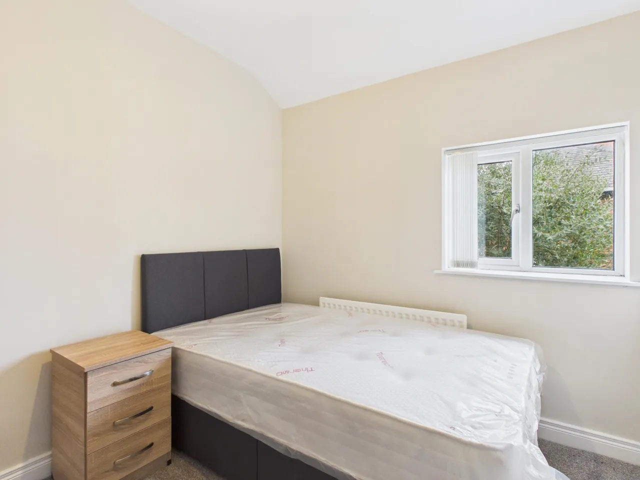 Northbrook Gardens, Belfast, BT9, photo 12