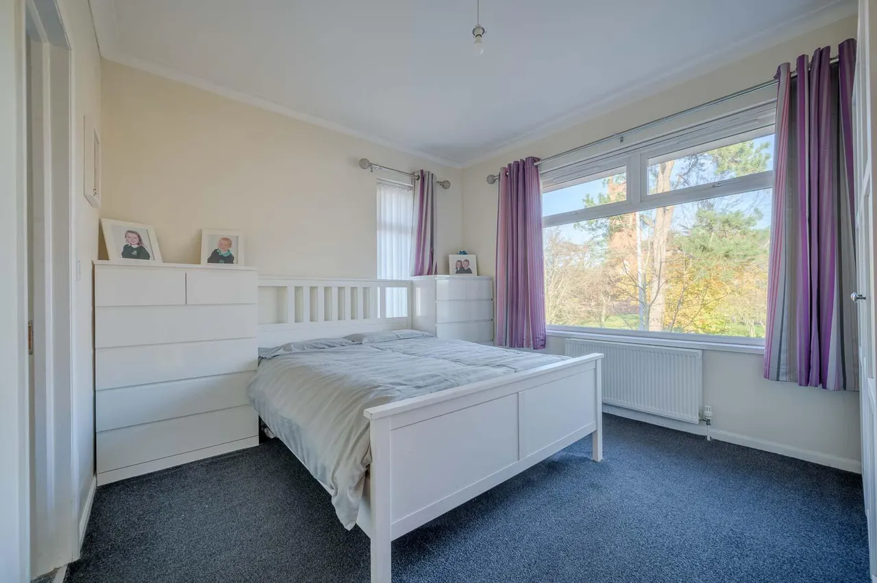 Belmont Church Road, belmont, BT4, photo 20