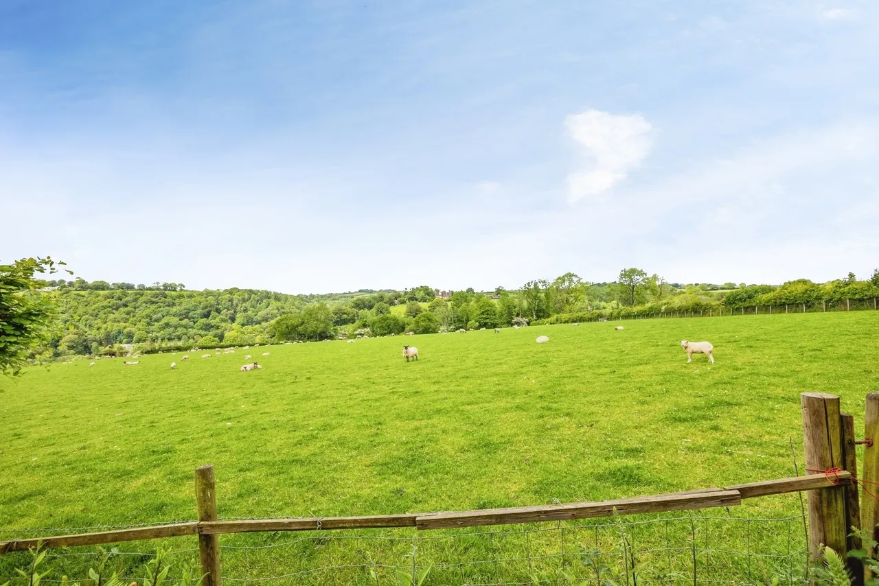Coed Y Bryn, Llandysul, SA44, photo 3