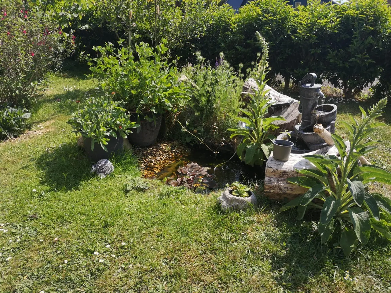 Braemar Way, Bognor Regis, PO21, photo 14