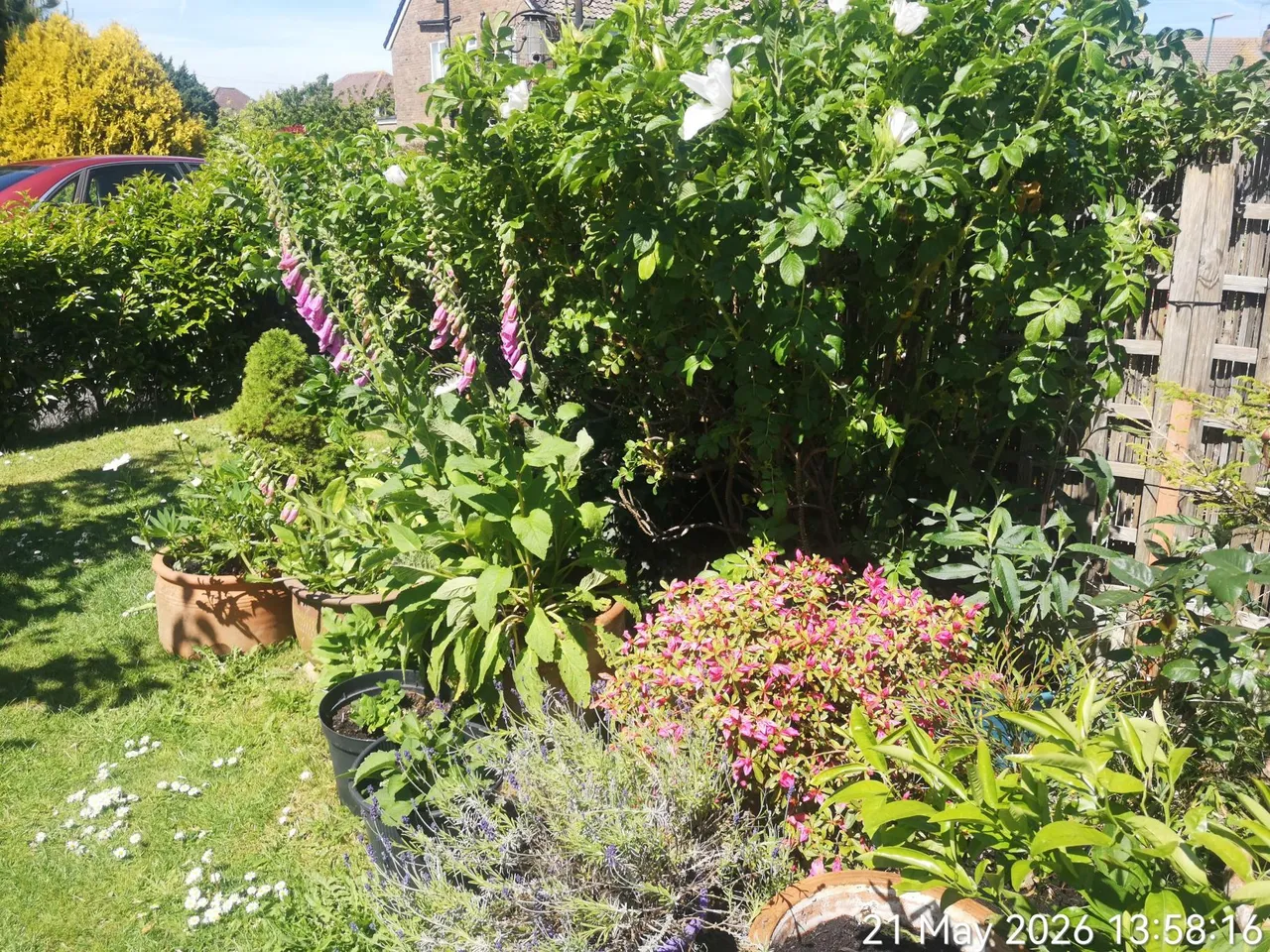 Braemar Way, Bognor Regis, PO21, photo 6