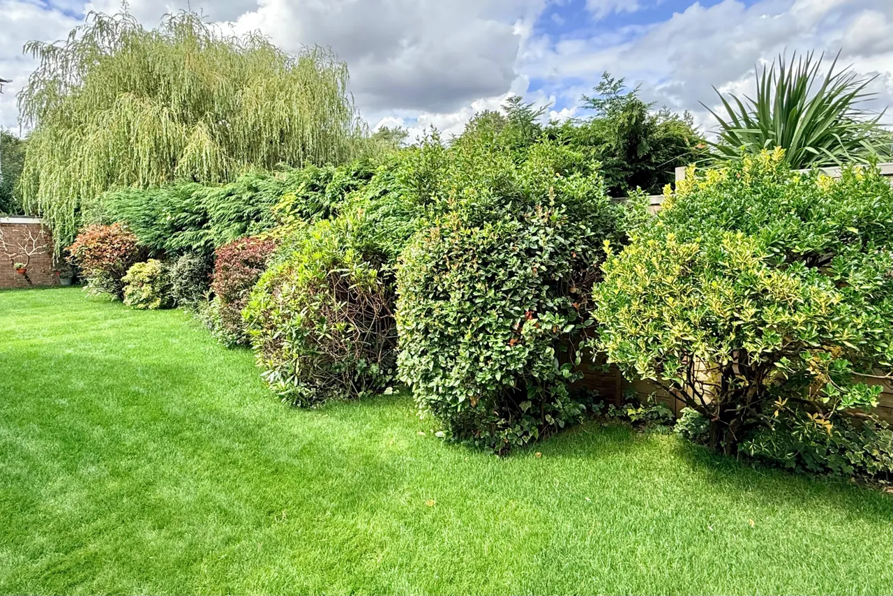 Ashley Park, Ashley Heath, BH24, photo 27