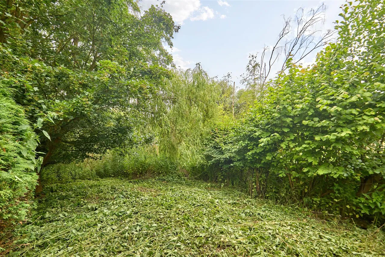 Roydon Fen, Roydon, IP22, photo 13
