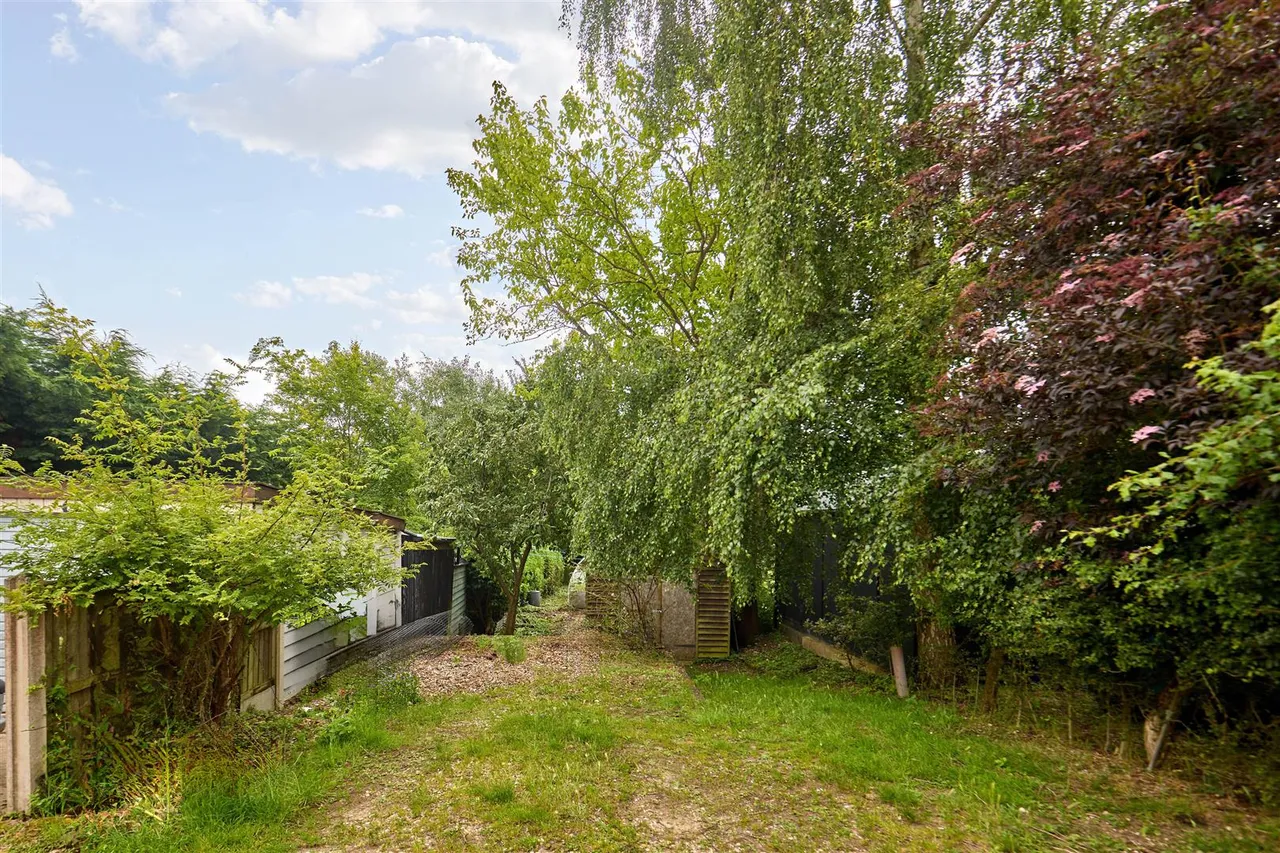 Roydon Fen, Roydon, IP22, photo 11