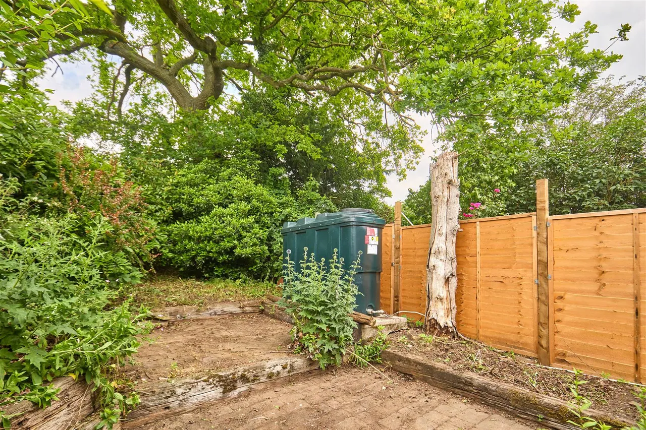 Roydon Fen, Roydon, IP22, photo 14