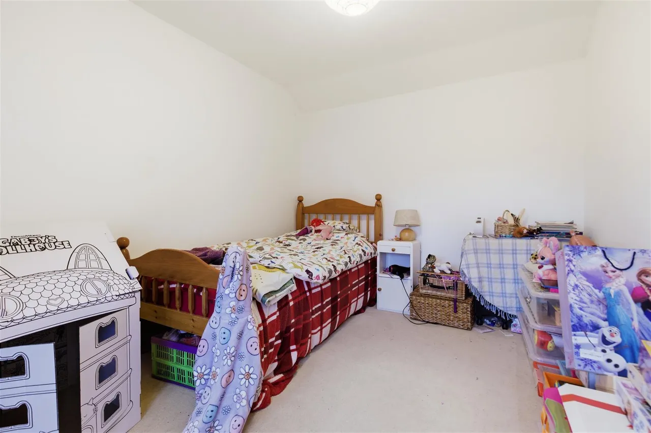 Roydon Fen, Roydon, IP22, photo 9