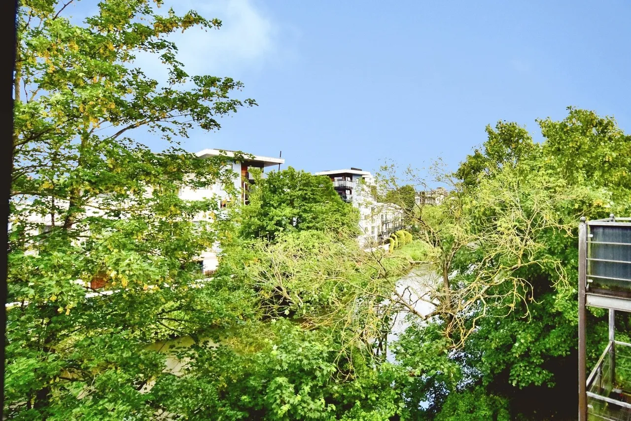 Hughenden Reach, Tovil, Maidstone, Kent, ME15, photo 19