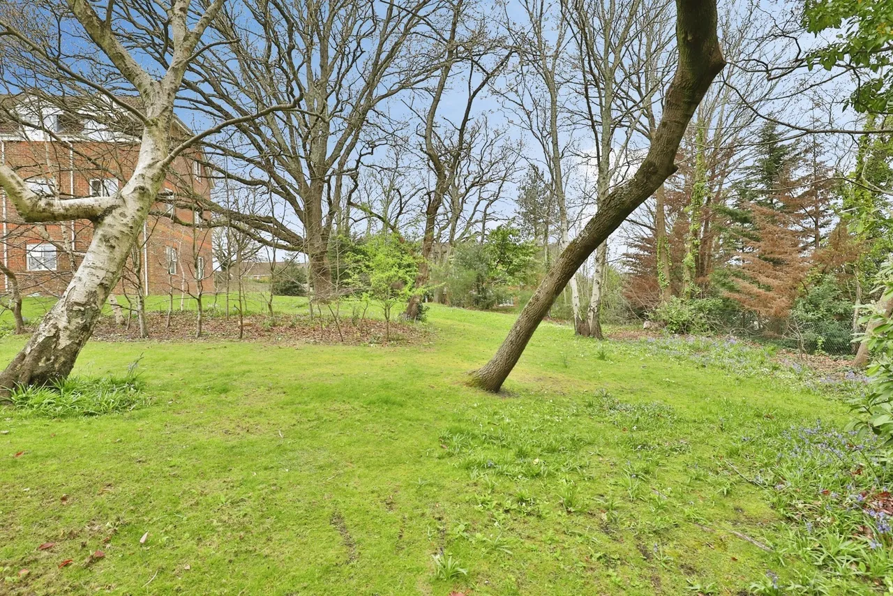 Alder Heights, Poole, BH12, photo 12