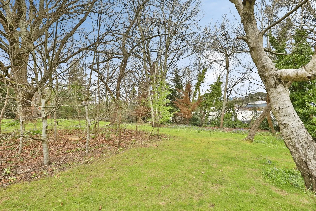 Alder Heights, Poole, BH12, photo 15