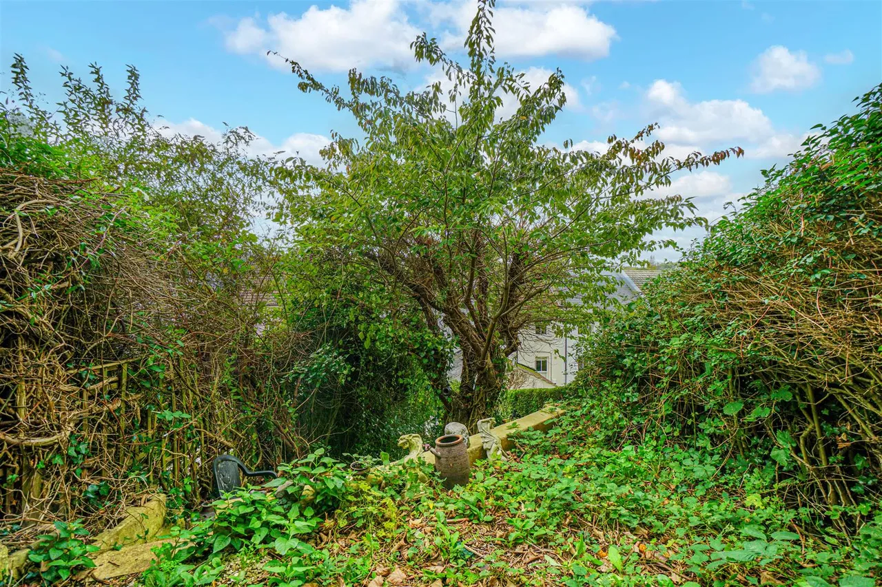 St Helens Road, Hastings, photo 19