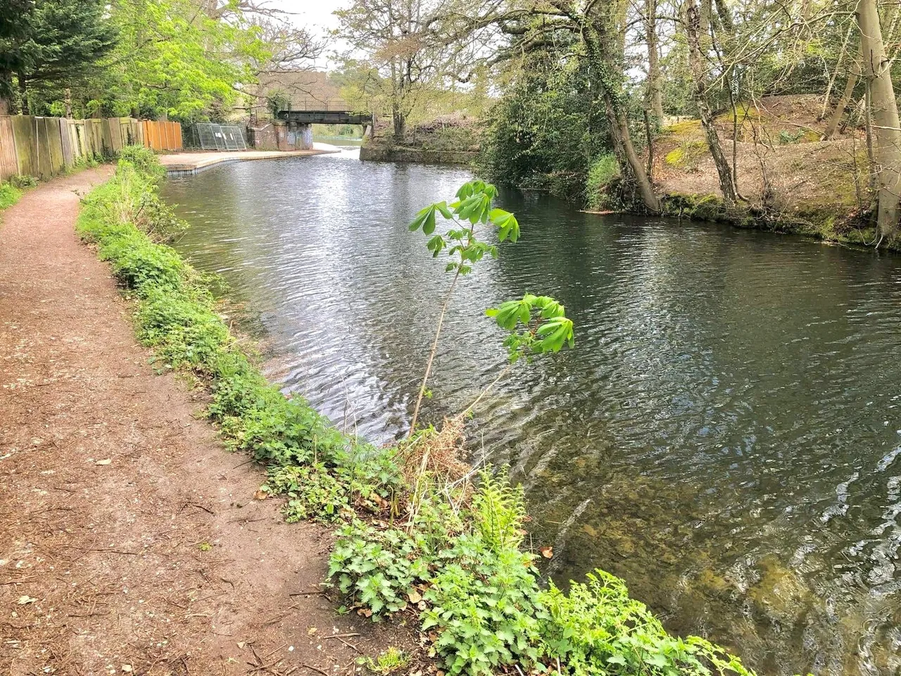 Vine Close, Grove Farm Park, GU16, photo 21