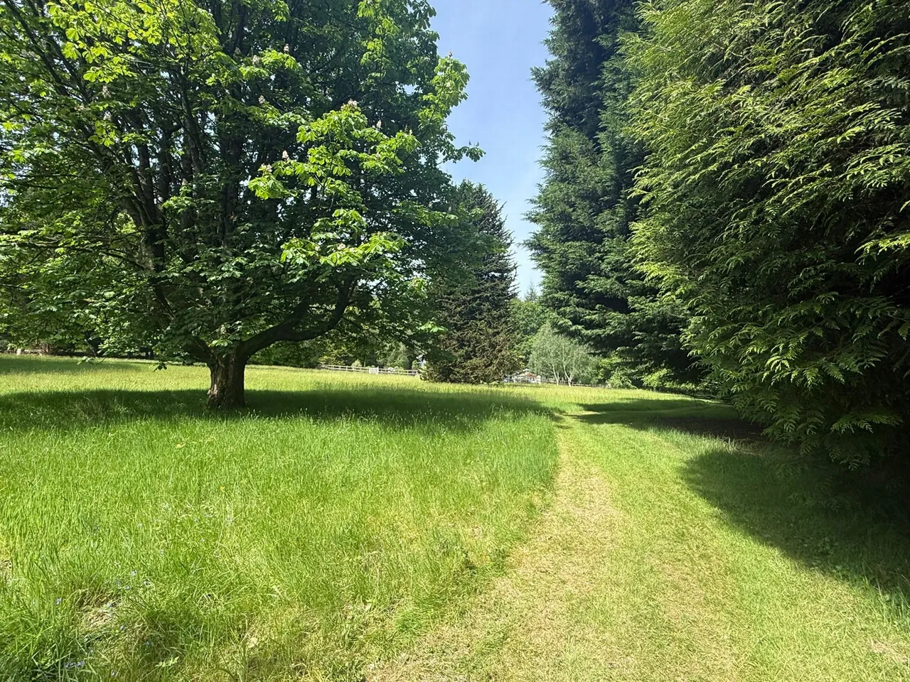 The Narth, NP25, photo 25