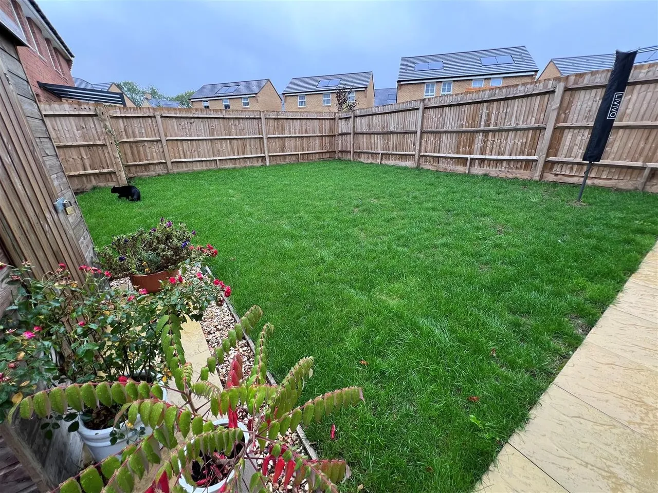 Great Barton Hill Road, Gillingham, SP8, photo 7