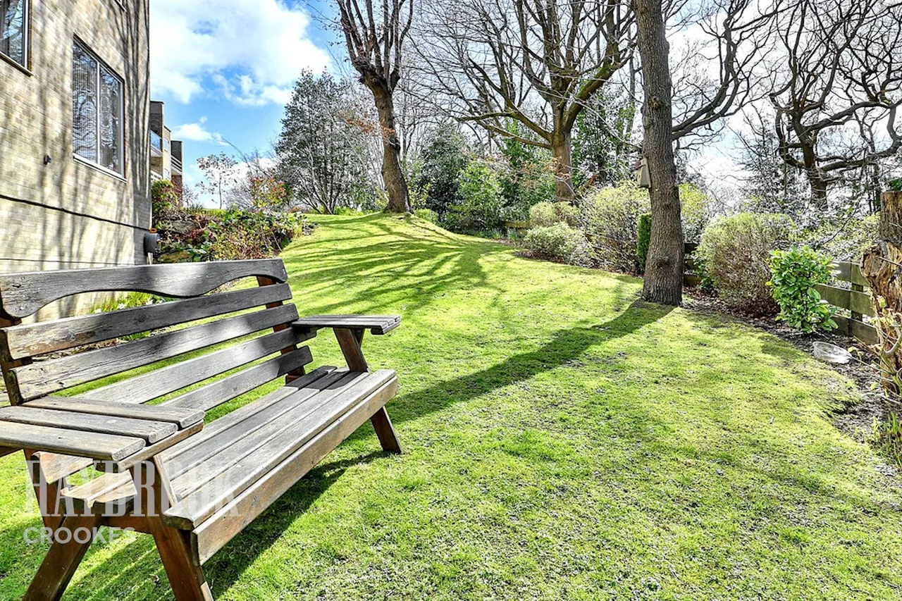 Endcliffe Grove Avenue, Endcliffe, photo 28
