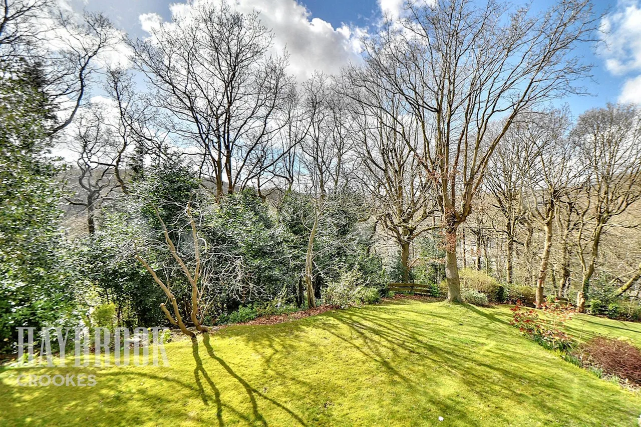Endcliffe Grove Avenue, Endcliffe, photo 27