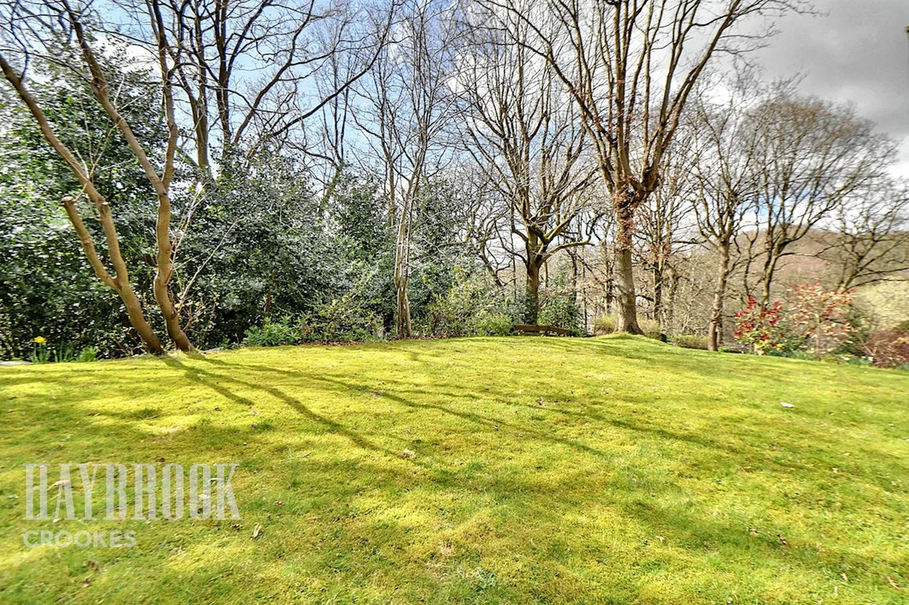 Endcliffe Grove Avenue, Endcliffe, photo 25