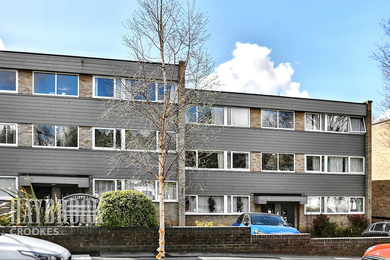 Endcliffe Grove Avenue, Endcliffe, photo 31