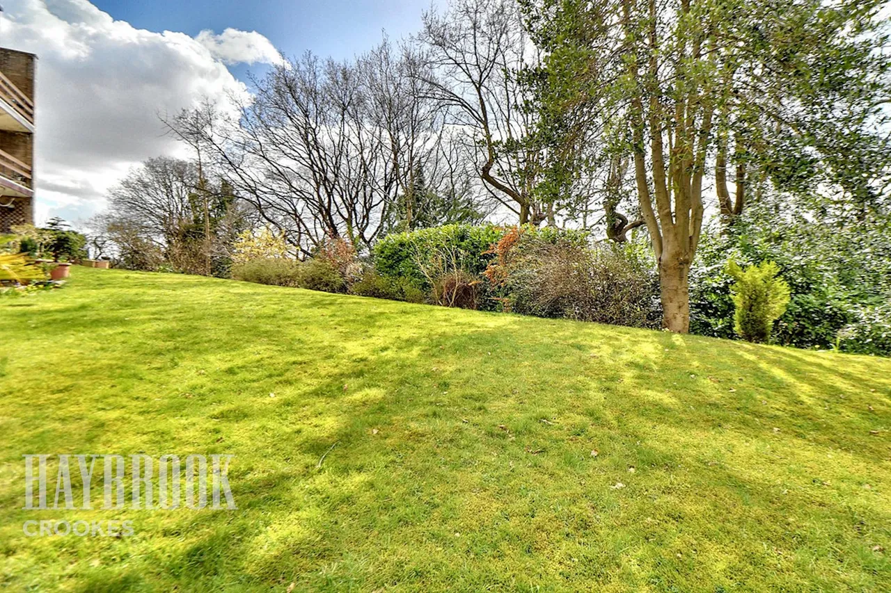 Endcliffe Grove Avenue, Endcliffe, photo 26