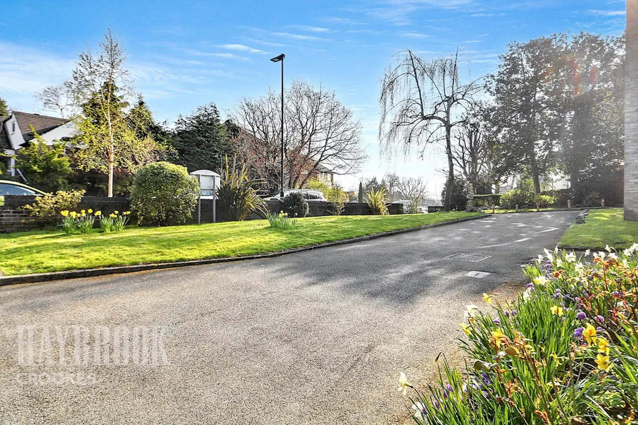 Endcliffe Grove Avenue, Endcliffe, photo 9
