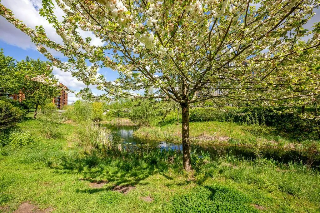 Wallace Court, Kidbrooke Village, London, SE3, photo 17