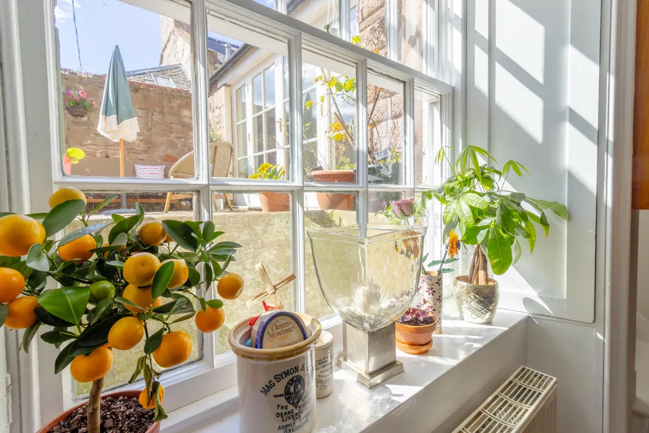 Panmure Terrace, Montrose, DD10, photo 8
