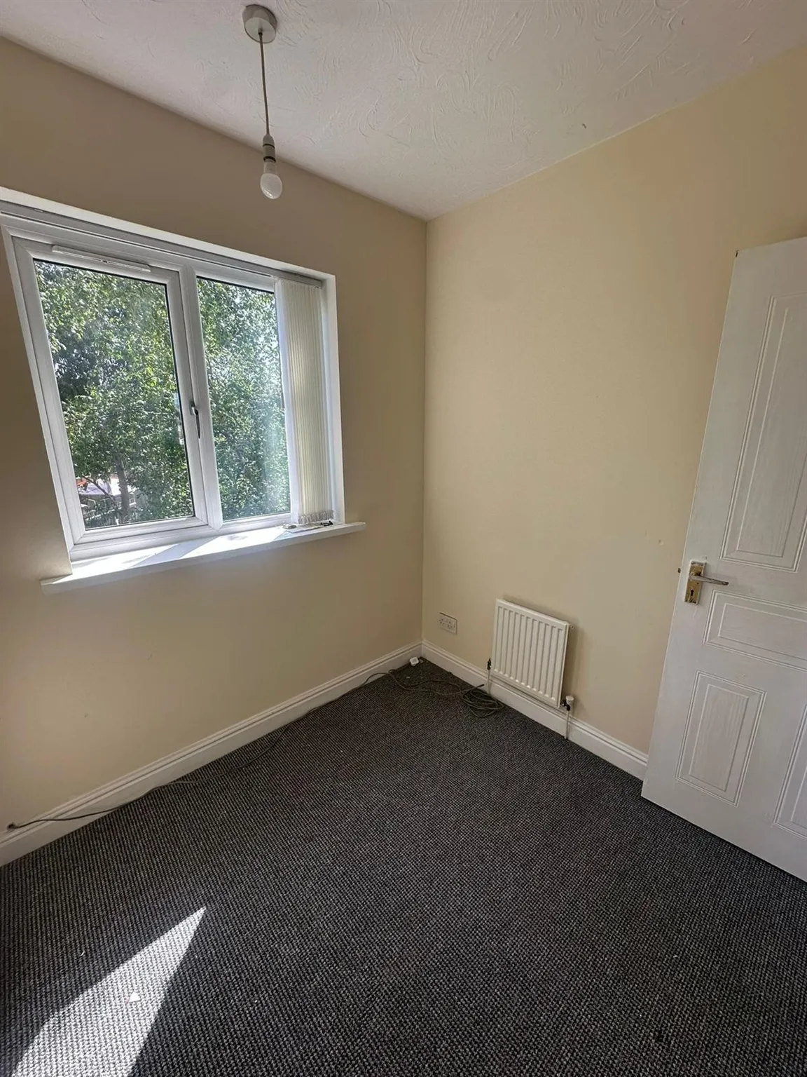 Sunnyhill Avenue, Sunnyhill, DE23, photo 9