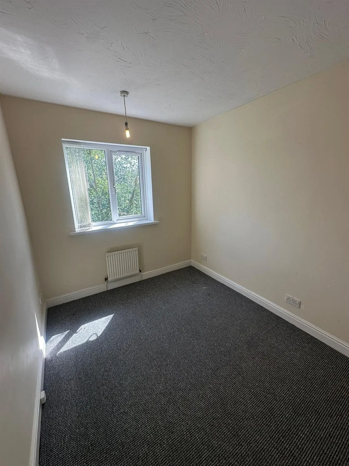 Sunnyhill Avenue, Sunnyhill, DE23, photo 8