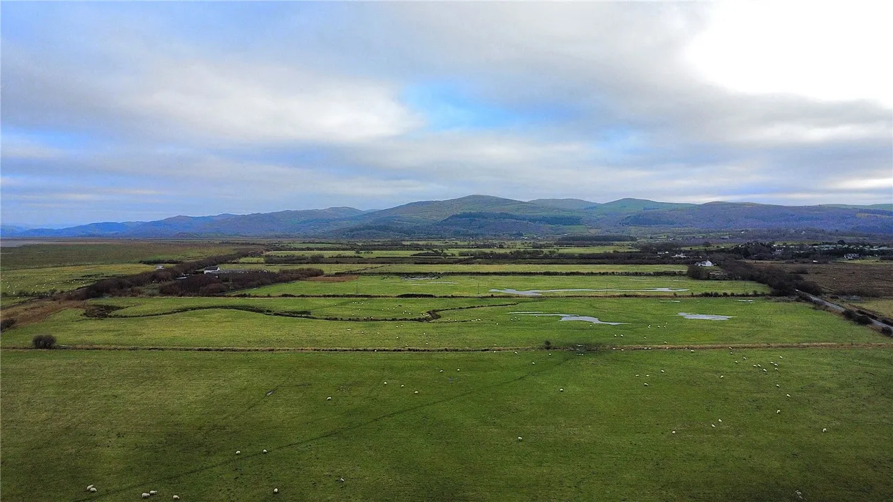 Ynyslas, Borth, photo 4