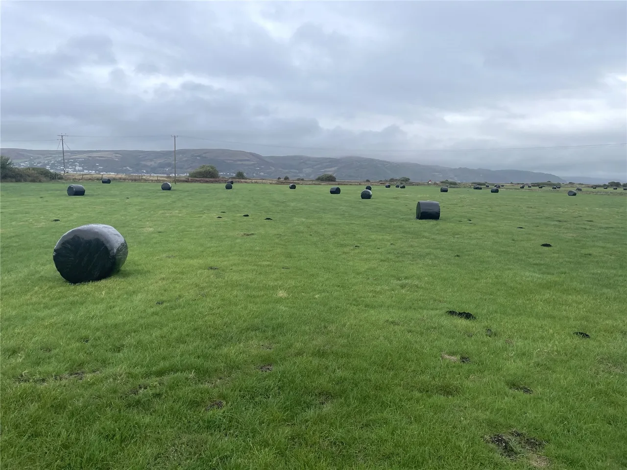 land agricultural for sale, Ynyslas, Borth