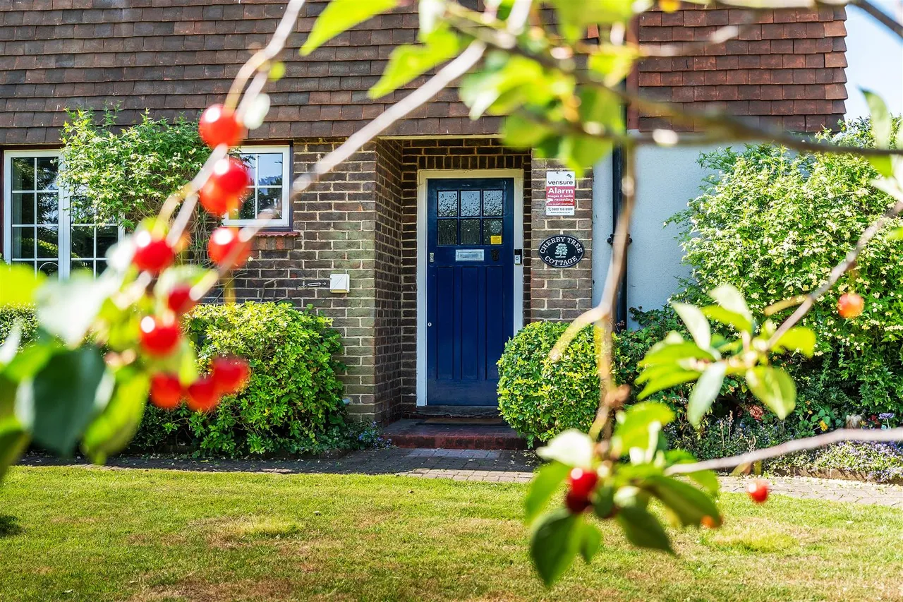 Northfields, Ashtead, KT21, photo 15