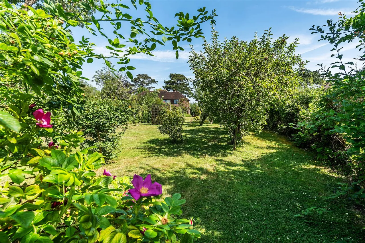 Northfields, Ashtead, KT21, photo 20