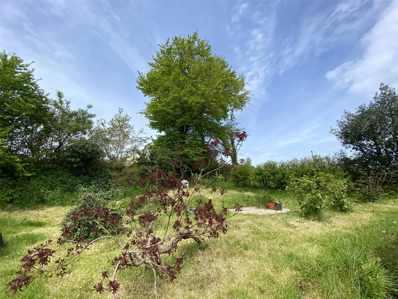Ashwater, Beaworthy, EX21, photo 5