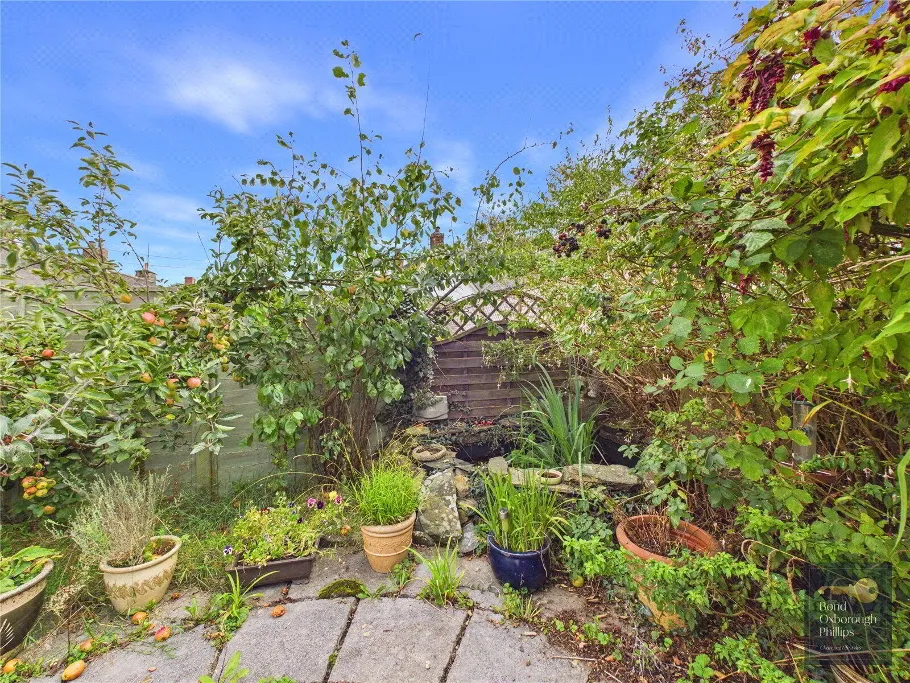 West Lane, Dolton, EX19, photo 21