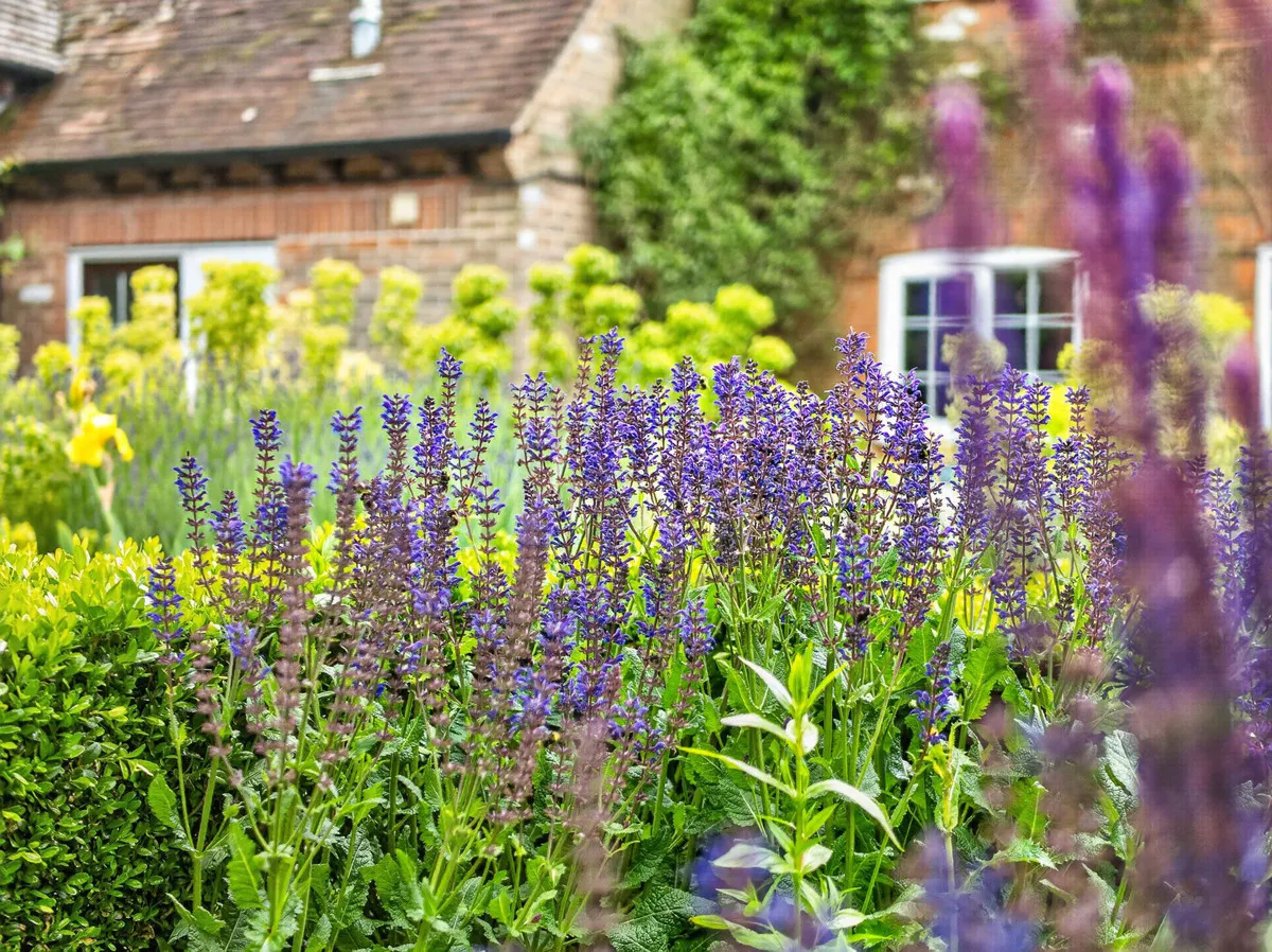 Southend, Henley-on-thames, RG9, photo 14