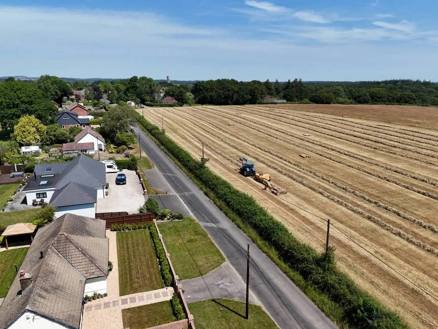 Gaunts Common, Wimborne, BH21, photo 43