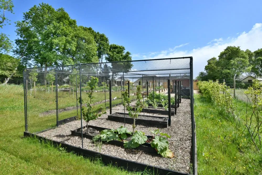 Gaunts Common, Wimborne, BH21, photo 27