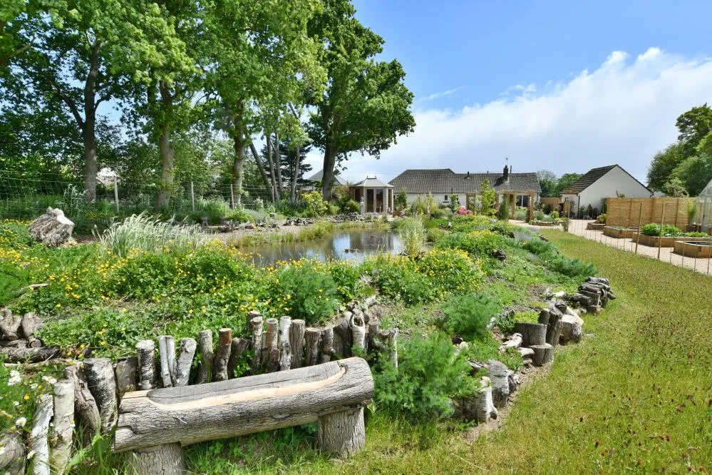 Gaunts Common, Wimborne, BH21, photo 26