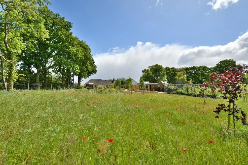 Gaunts Common, Wimborne, BH21, photo 25