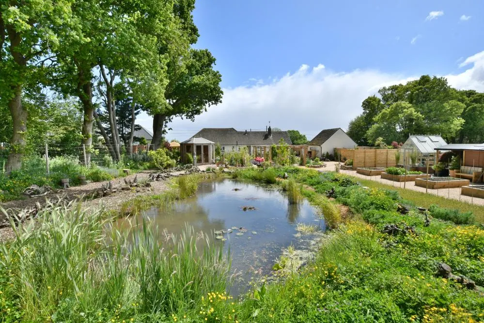 Gaunts Common, Wimborne, BH21, photo 24