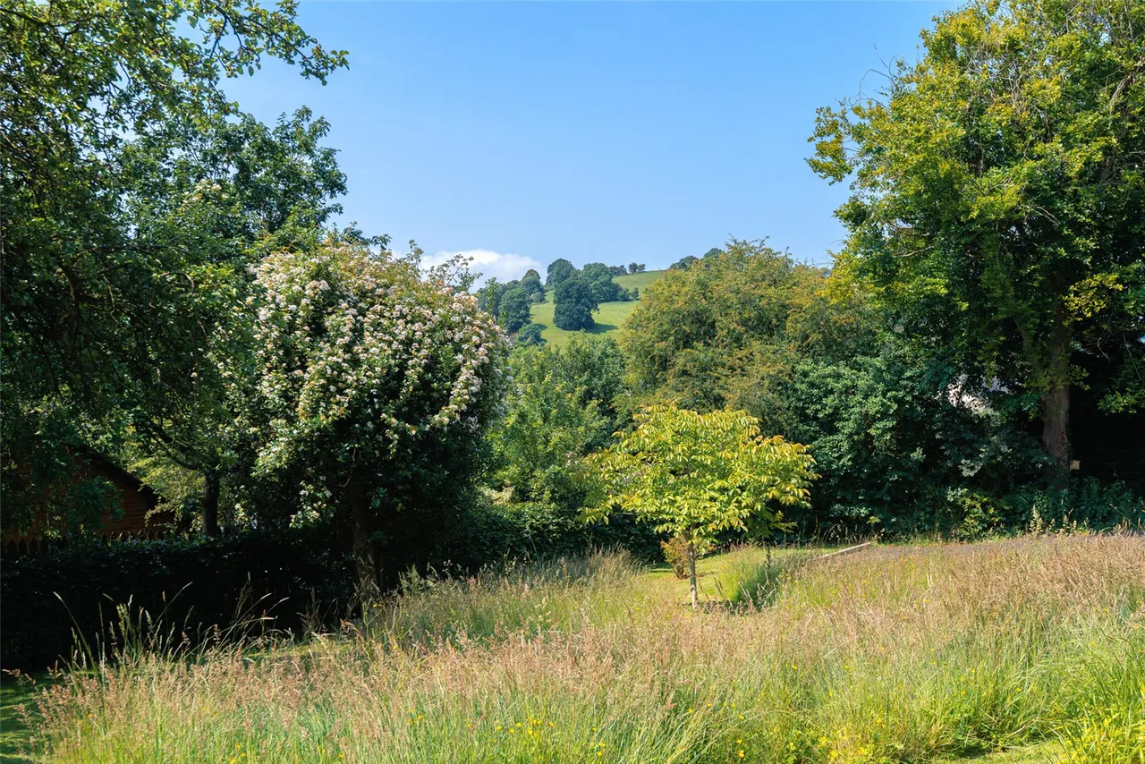 Cae Boncyn Lane, Llanfyllin, photo 35