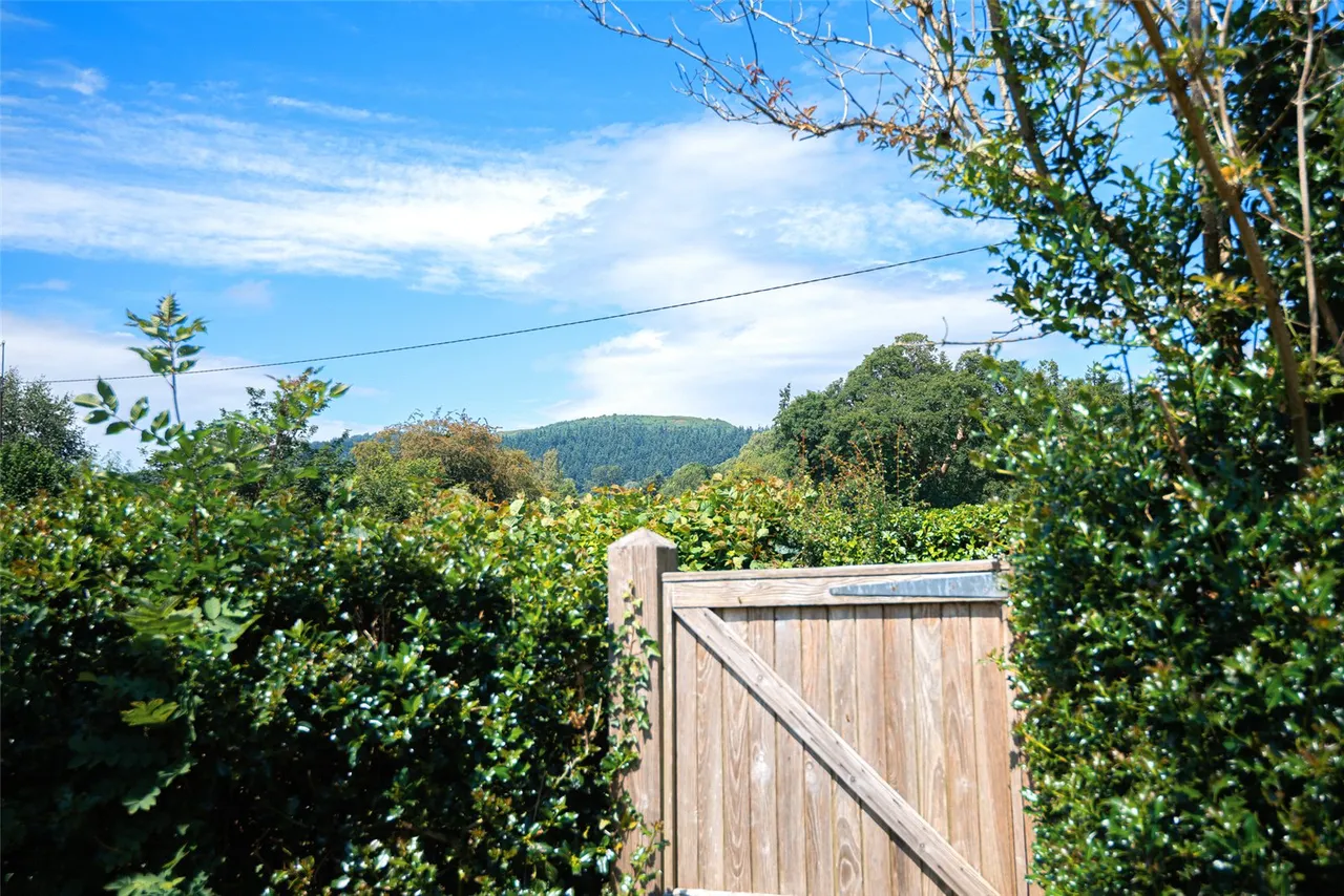 Cae Boncyn Lane, Llanfyllin, photo 31
