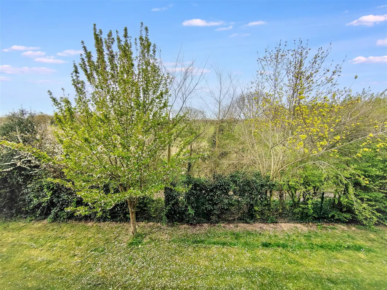 St. Michaels Avenue, Aylsham, NR11, photo 13