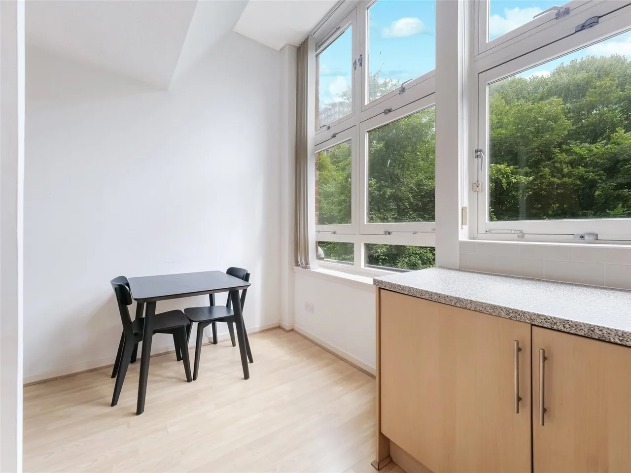 Montrose Street, Glasgow, Glasgow City, G1, photo 11